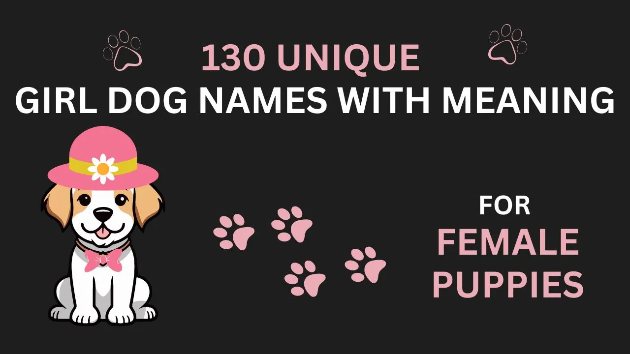 130-unique-girl-dog-names-with-meaning-for-female-puppies-in-2023